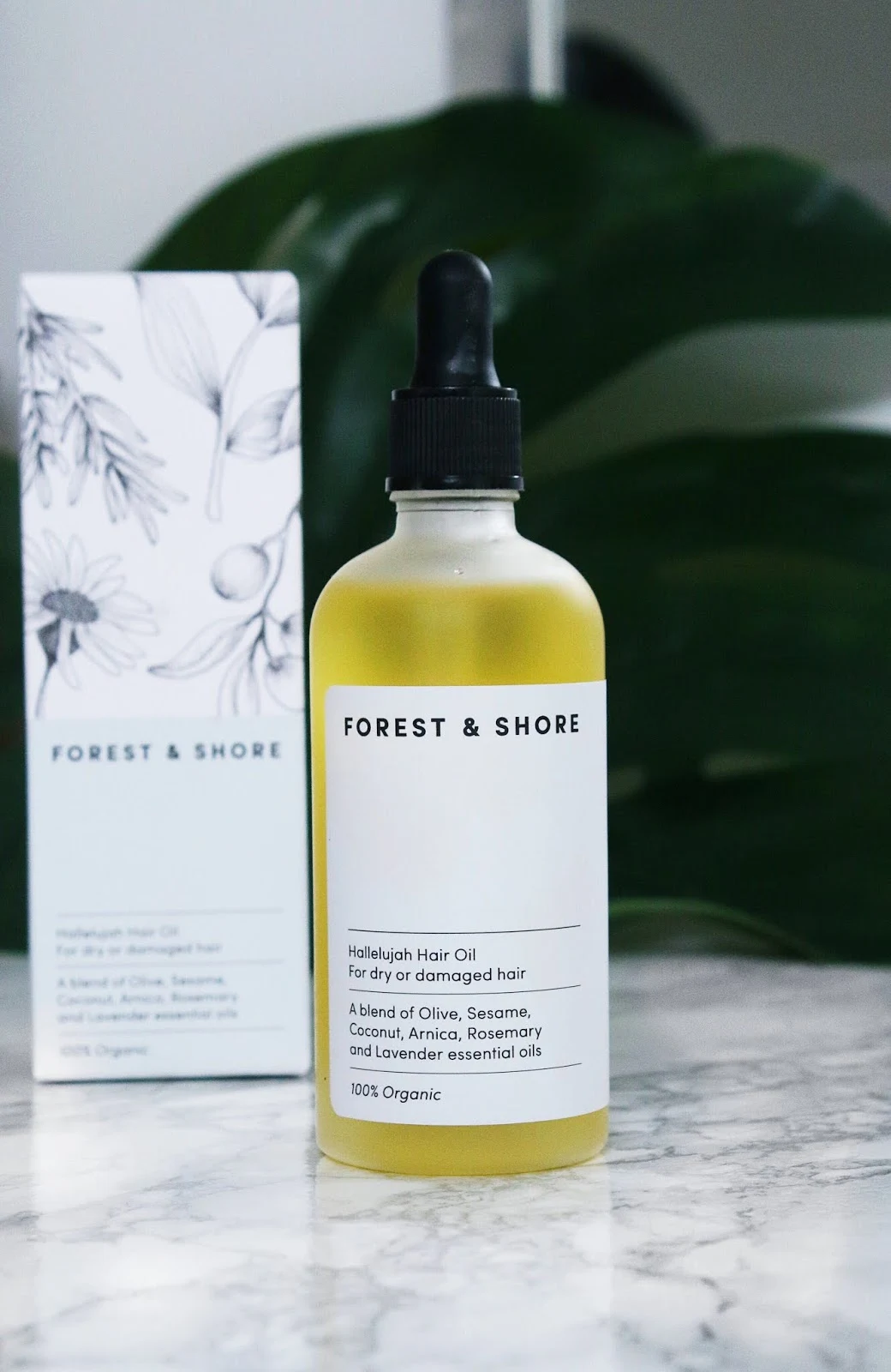 Gorgeous Forest And Shore Hair Oil Photo in 4K