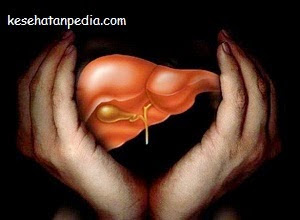 Kebiasaan sehari-hari yang dapat merusak liver