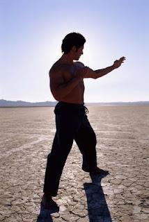 Federal Kung Fu Make Combat Techniques