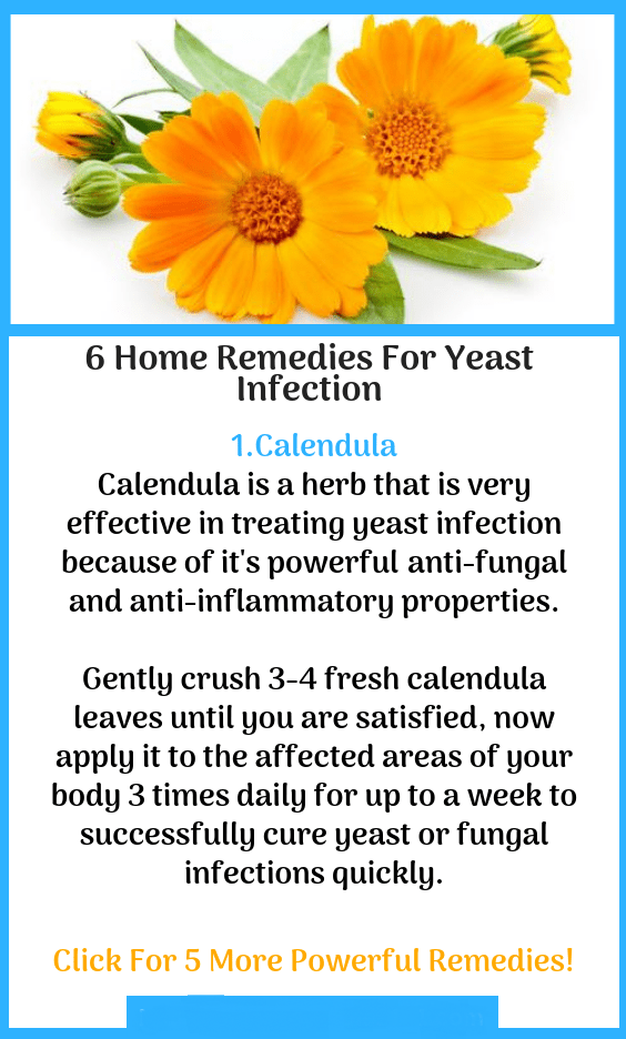 The most extreme weight loss methods revealed Home Remedies for Yeast