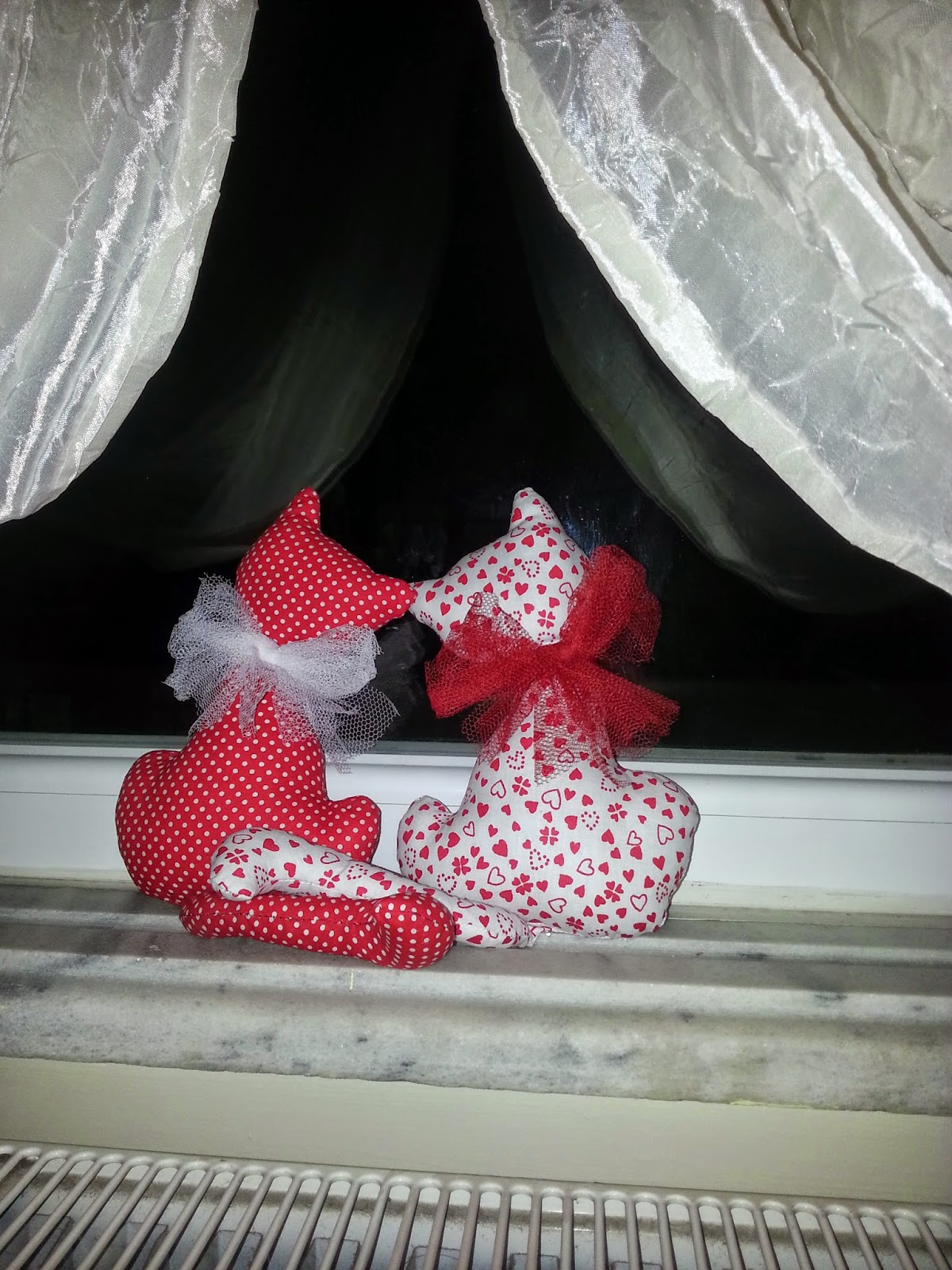 hobişko camdan bakan kedi