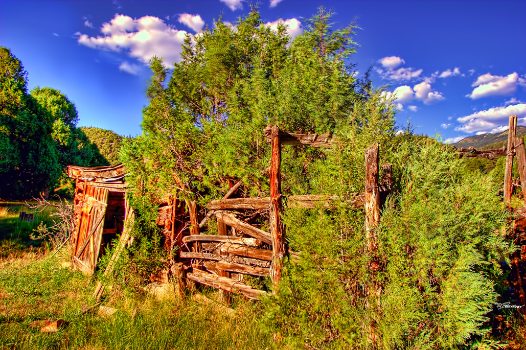 MY APERTURE: D.H. LAWRENCE RANCH NEAR TAOS, NEW MEXICO