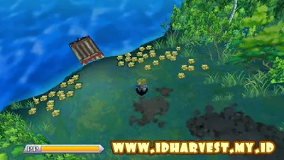 Walkthrough Harvest Moon Innocent Life Summer Minggu Pertama