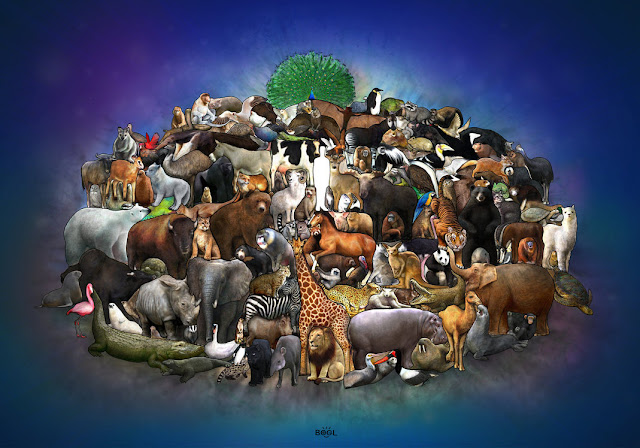 Scientific Names Animals All Scientific Names In Hindi