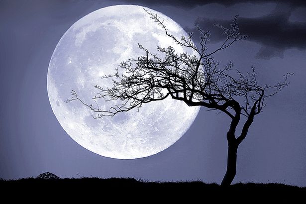 full moom feb full moom feb