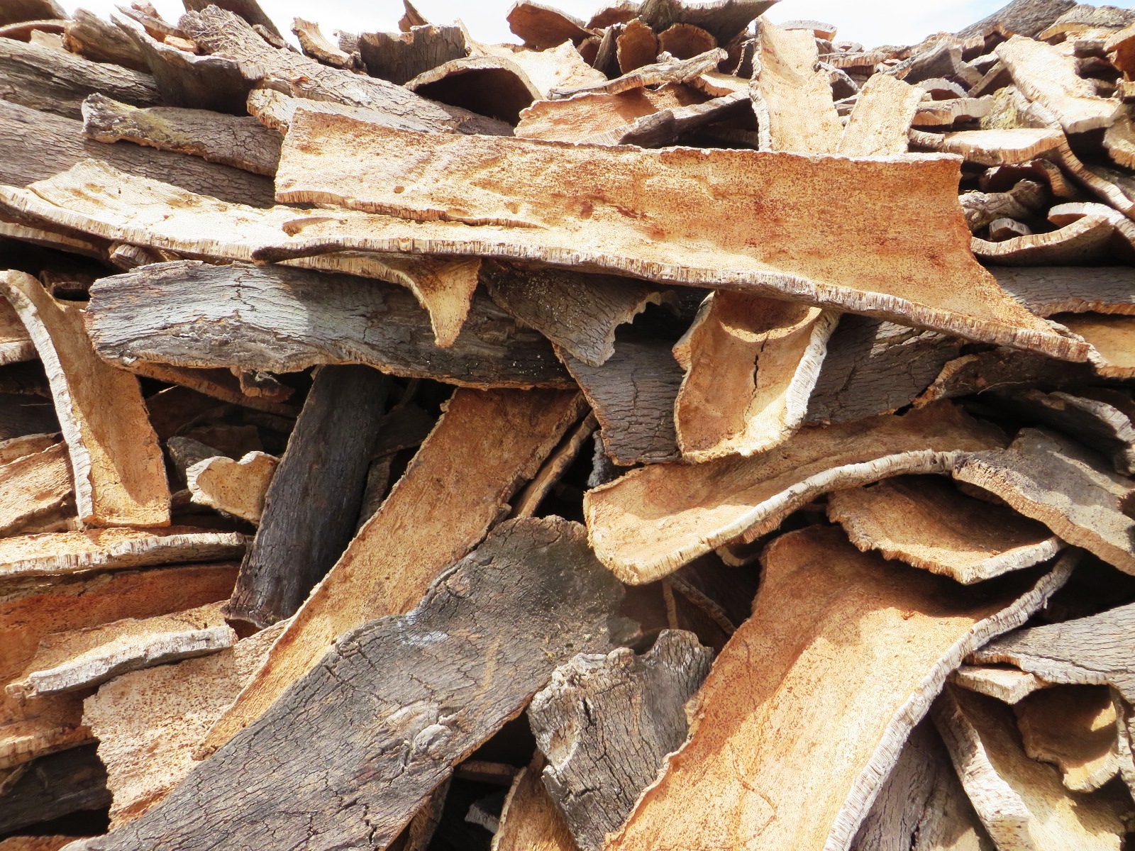 Corcho natural en bruto