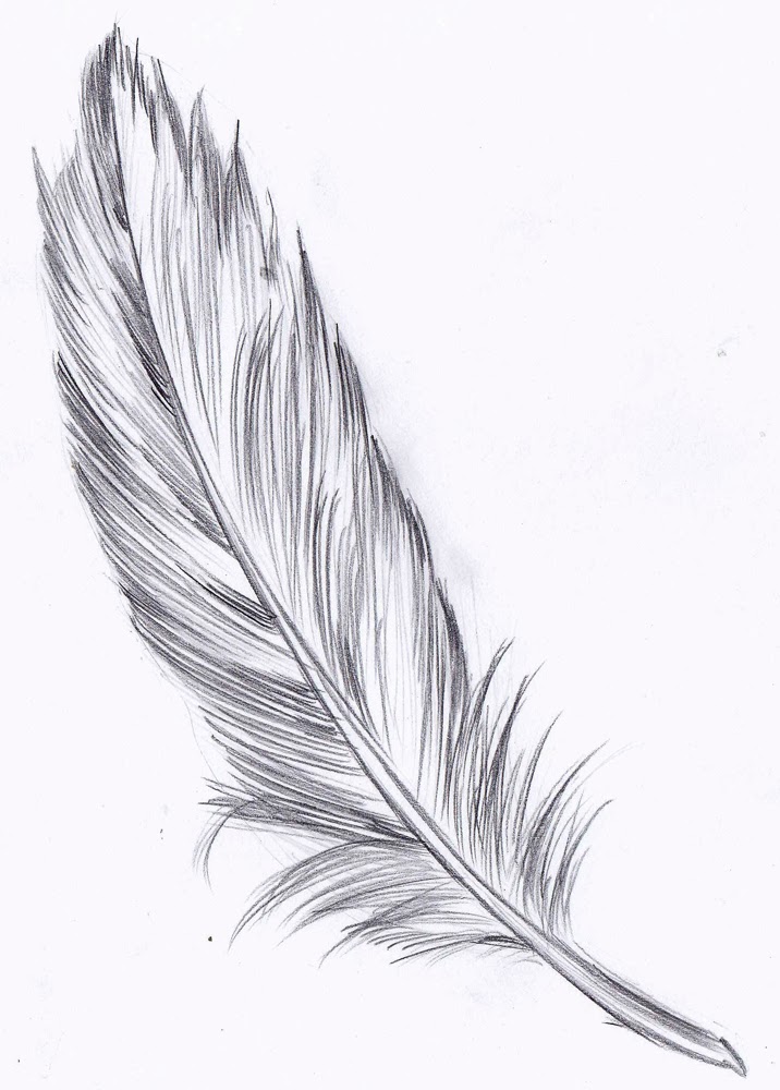 1000+ images about Draw Angel and Bird Wings (wing variations) on Pinterest
