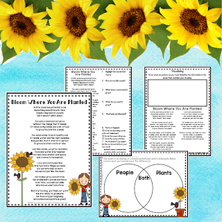 With many grade levels teaching plant concepts, this poetry set is perfect for extending across the curriculm. It includes an original poem, vocabulary cards, and three post reading comprehension activities. Check out this post for information on using poetry to build reading fluency and to download this free resource. With many grade levels teaching plant concepts, this poetry set is perfect for extending across the curriculm. It includes an original poem, vocabulary cards, and three post reading comprehension activities. Check out this post for information on using poetry to build reading fluency and to download this free resource.