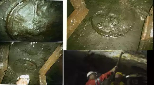 Ανακάλυψαν έναν τροχό 300 εκατομμυρίων ετών που αναιρεί την “επίσημη ιστορία” Ανακάλυψαν έναν τροχό 300 εκατομμυρίων ετών που αναιρεί την “επίσημη ιστορία”