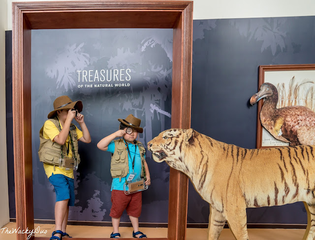 Treasures of the Natural World @ Artscience Museum
