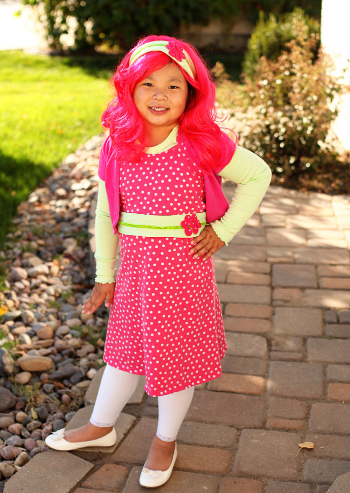 My Daily Snapshots DIY Raspberry Shortcake Costume