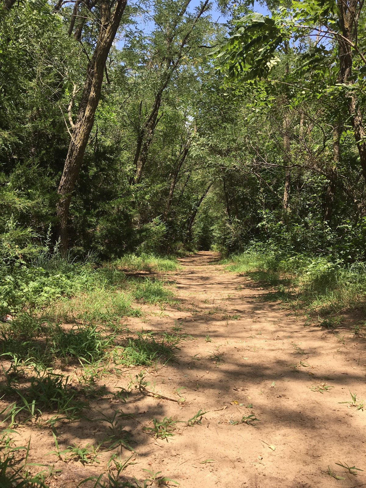 Kansas Transportation Desert your cars and go on an adventure at the