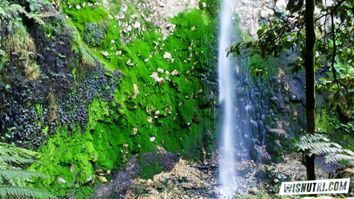 53+ Gambar Air Terjun Alam Terlihat Keren 53+ Gambar Air Terjun Alam Terlihat Keren