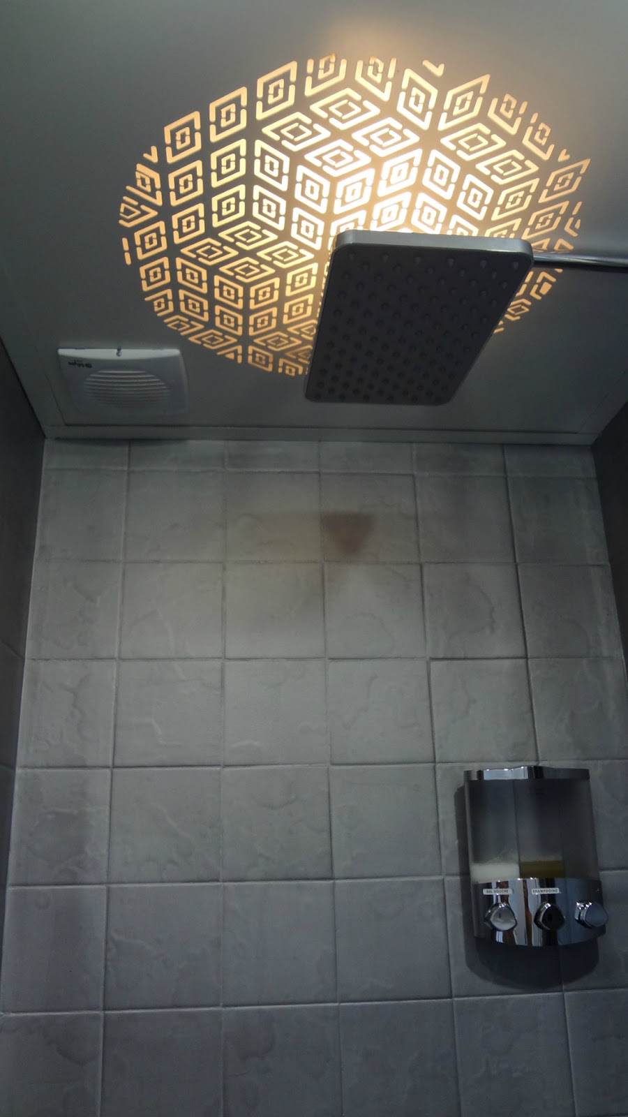 Toto Realisation Faux Plafond De Douche