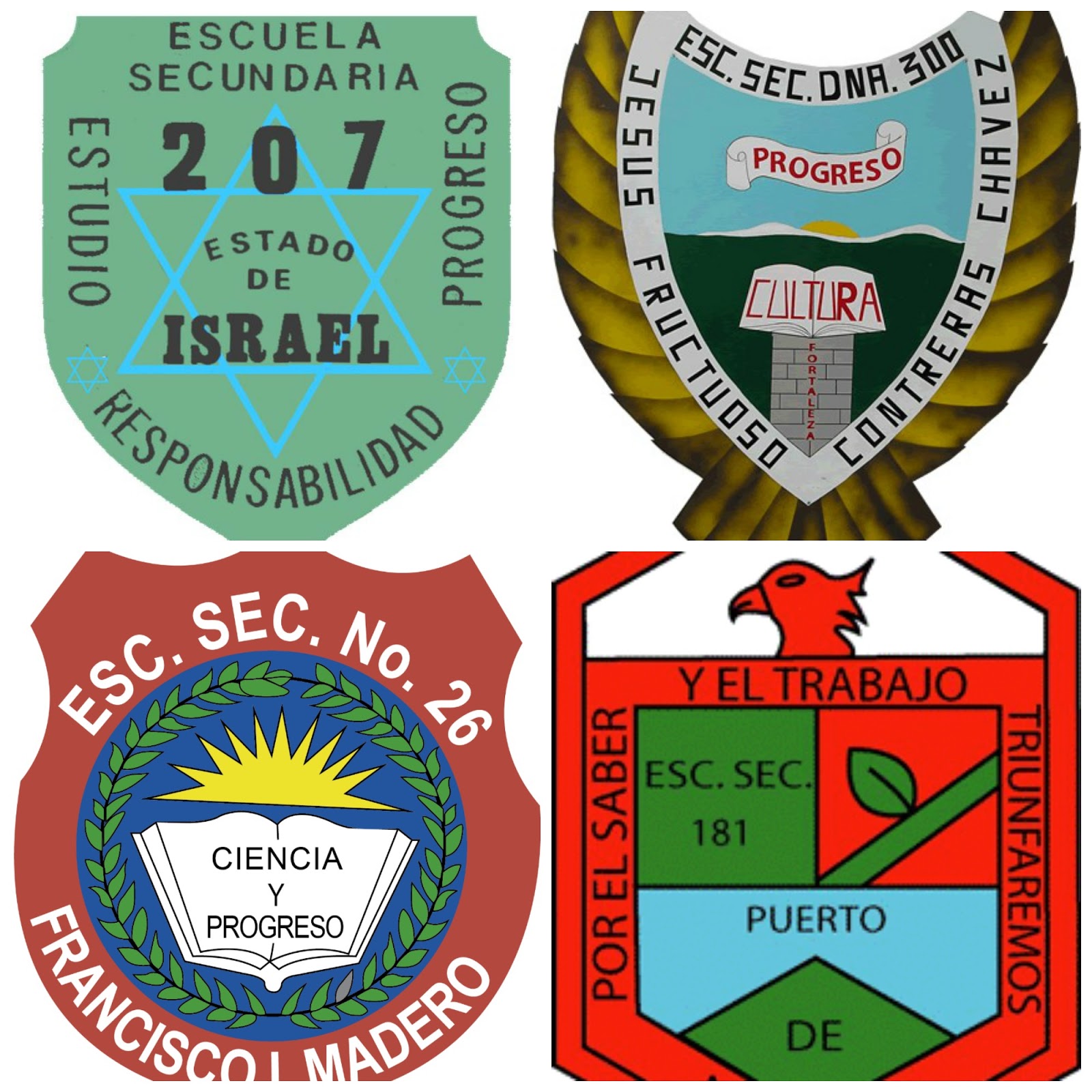 ESCUELA SECUNDARIA DIURNA 207 TURNO MATUTINO