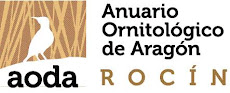 ASOCIACIÓN ANUARIO ORNITOLÓGICO DE ARAGÓN-ROCÍN
