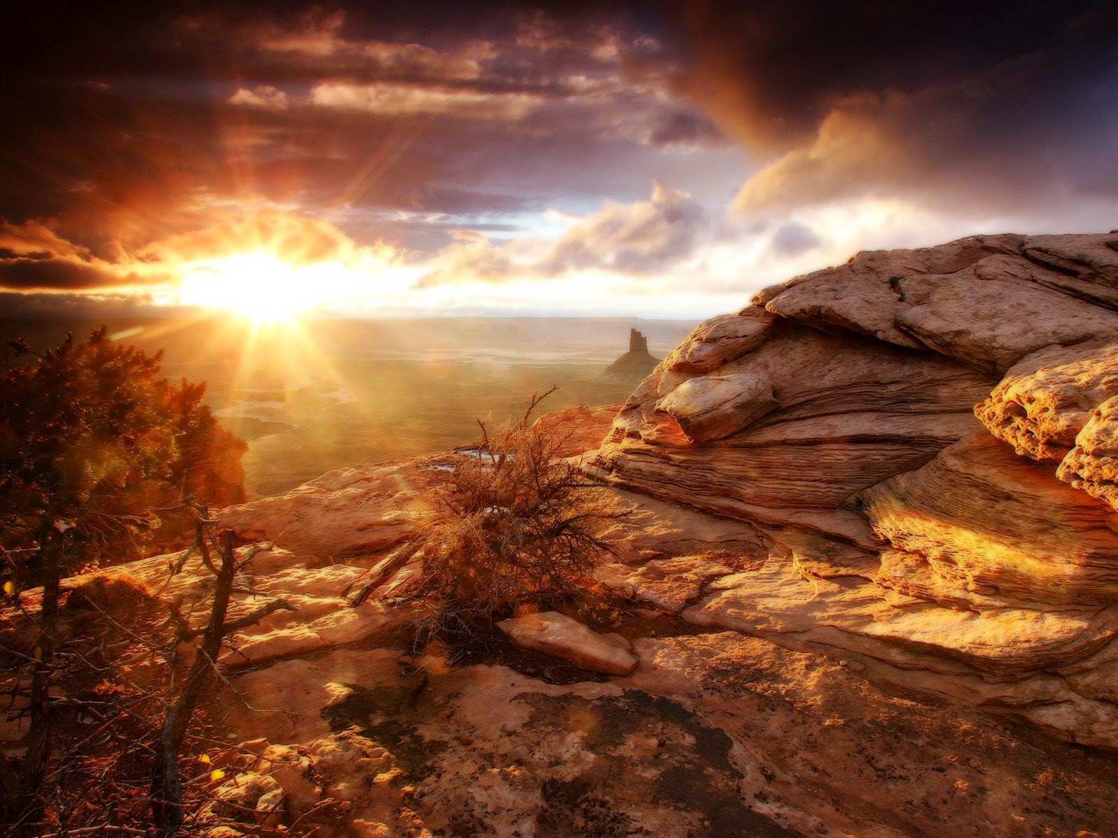 Sunset Wallpapers HD ~ Cartoon pictures
