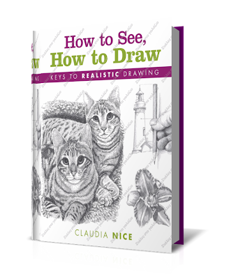 How to See, How to Draw - Claudia Nice