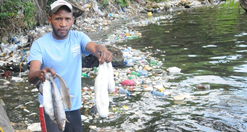 Prohibieron hasta la pesca en río jodío' por vaina química rio haina