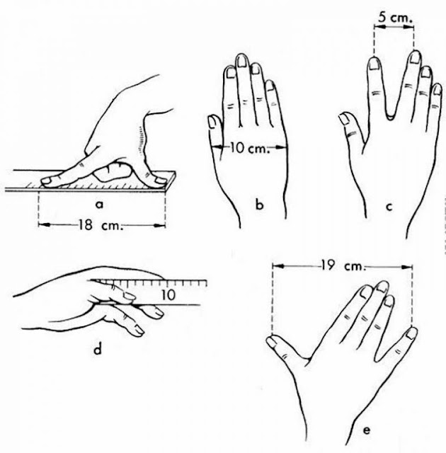 Measure Everything Only With Your Hands
