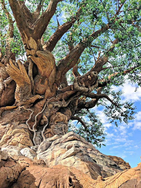 The Tree of Life at Disney's Animal Kingdom FIVE || Buy Memory Maker So you can get your picture taken for free from PhotoPass photographers around the parks. They're stationed at photo-opp places like in front of the castle as well as with the characters. Any time any of them takes a picture of you with their professional cameras and photography skills, they scan your ticket (whether that's a card or Magic Band - more on that later) and your picture is then connected to your account. You can find all your PhotoPass pictures on your MDE app or online at the Disney Store here. Your ride photos are there too. The problem is, they have a watermark and you have to pay to download each photo you want. Unless you have Memory Maker. It's about $150 - $200 (depending on when and how you buy it) and you can download any and all photos on your account and do whatever you want with them. I especially recommend doing this if it's just the two of you going because you're going to want some pictures of the two of you together.