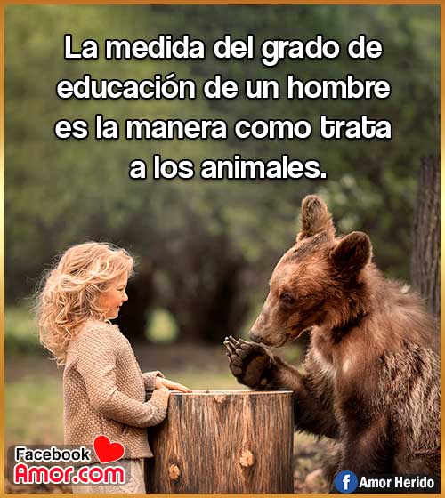 frases de cuidar educar animales frases de cuidar educar animales