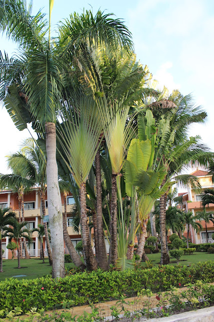 Grand Bahia Principe Bavaro Punta Cana