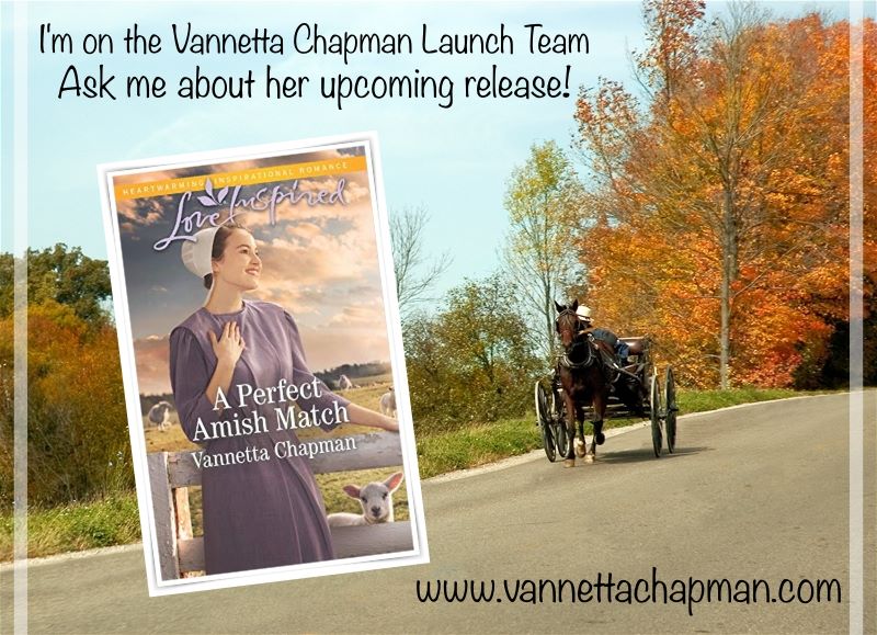 Vannetta Chapman's Book Launch Team