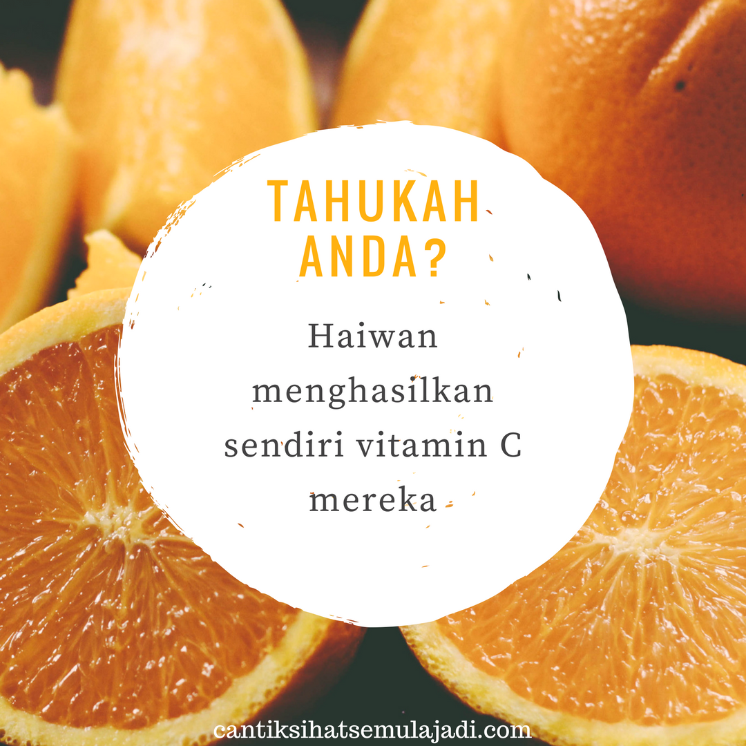 Manfaat dan Kebaikan Vitamin C serta Perbezaan VitaC Shaklee Umi Nazrah