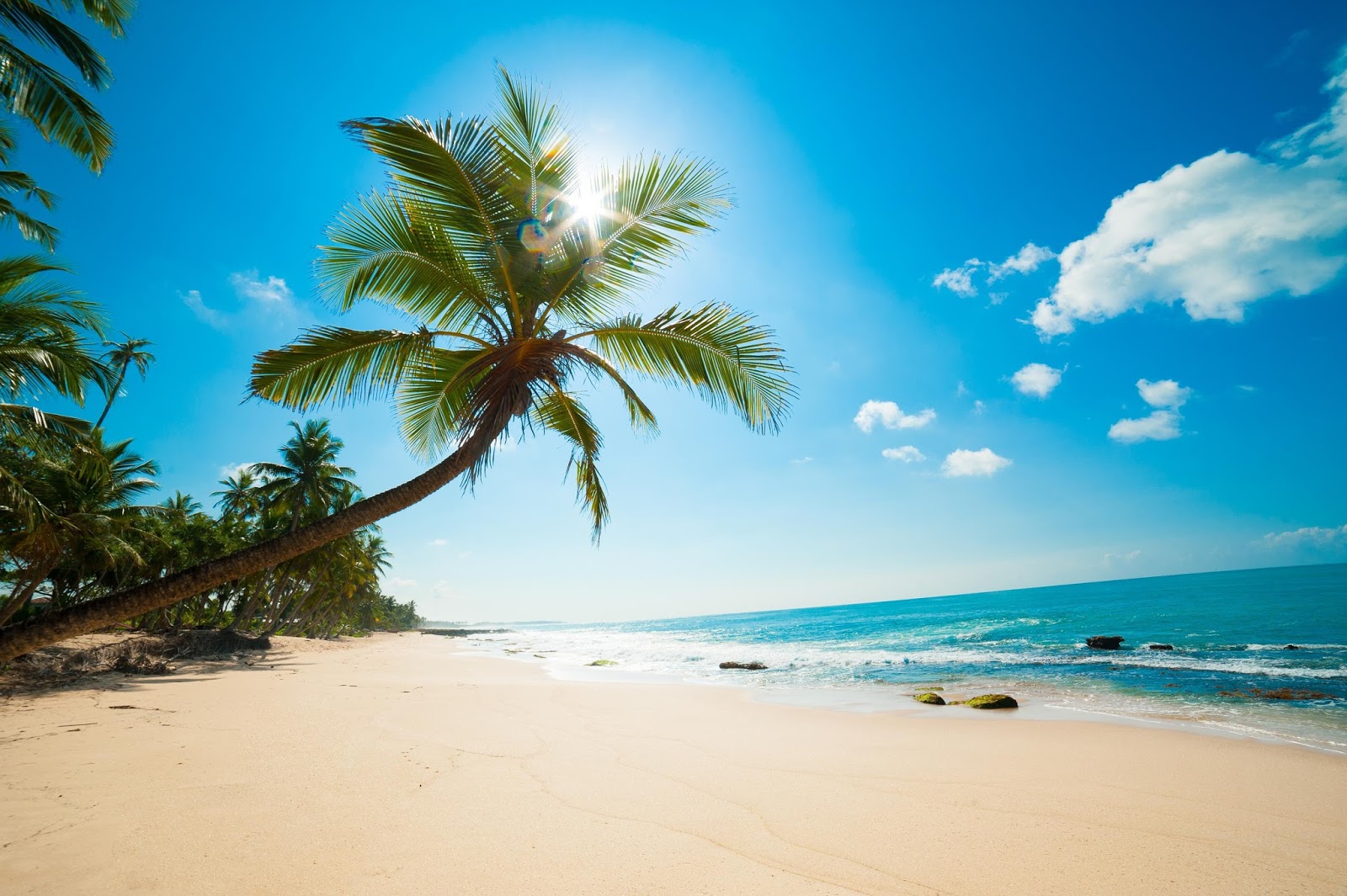 Banco de Imágenes Gratis: 10 fotos de playas tropicales para tus