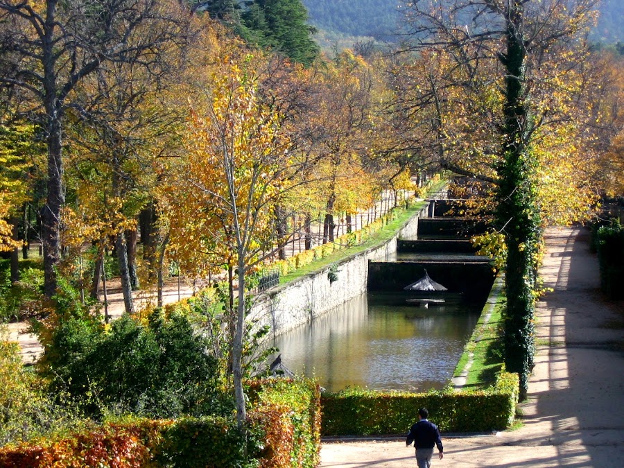 La Granja de San Ildefonso. Palacio y Jardines