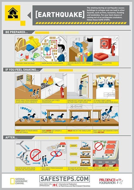 Earthquake Survival Guide