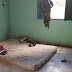 Operação resgata dois adolescentes de trabalho escravo no sul da Bahia