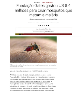 Fundação Gates gastou $ 4 milhões MOSQUITO MODIFICADO/Malária/Outono 2020 BRASIL,NOVO Zika vírus