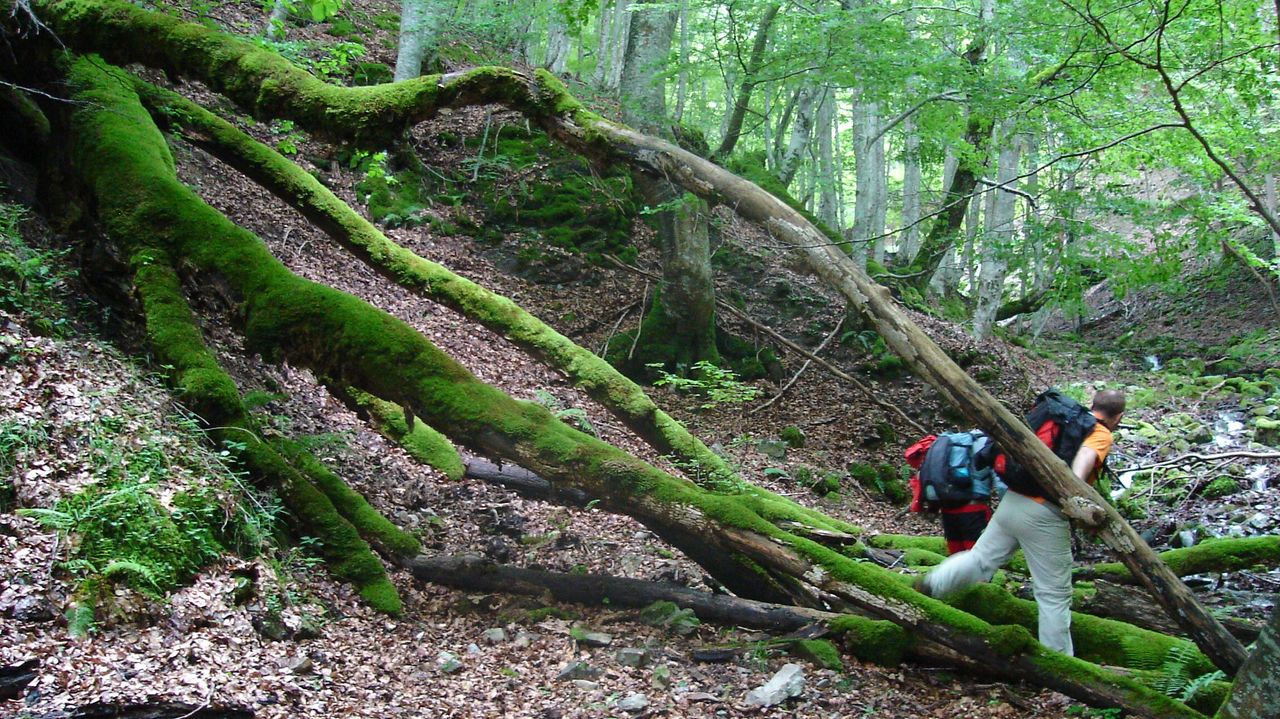 Biciorama Cabecera del Río Valvanera