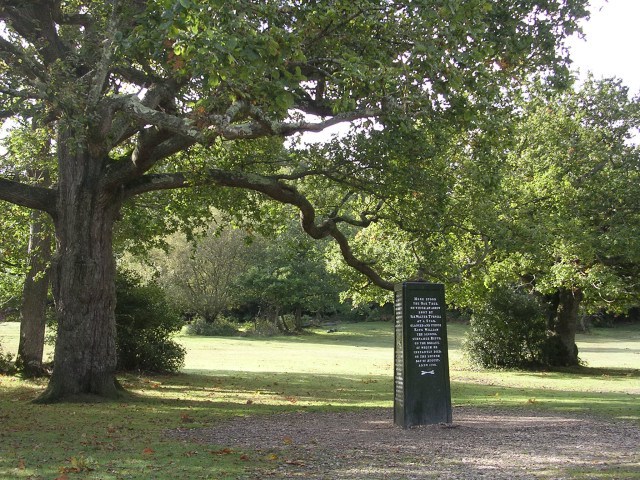 The Faraway Tree, Oxfordshire, UK The Faraway Tree, Oxfordshire, UK
