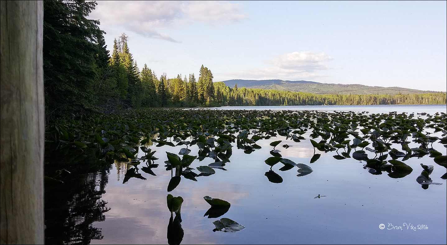 Northern Interior British Columbia A May Evening At Klinger Lake