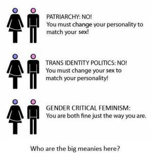 Gender Critical Feminism