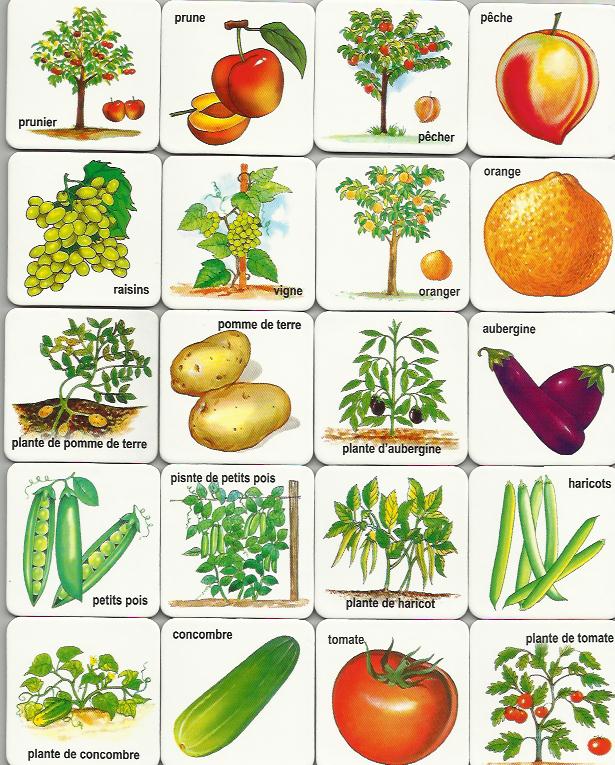 Family Crafts And Recipes Free Printable Summer Game Fruits And 