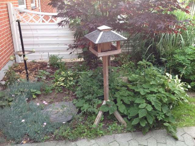 Ildkattens scriptorium: fra rodebutik til forhave :)