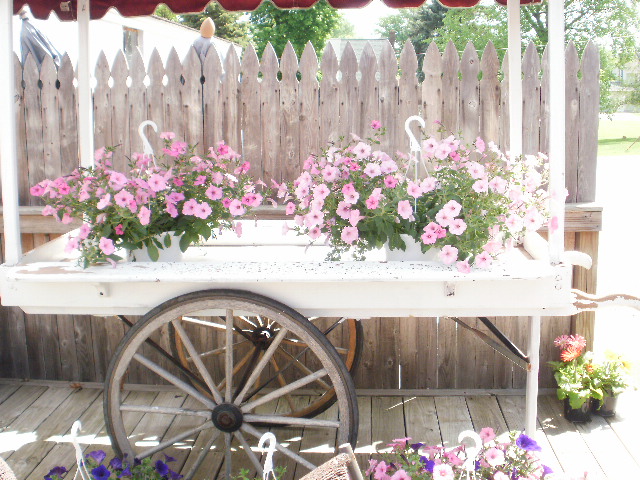 Shopping with Mom Shipshewana, flowers, cart