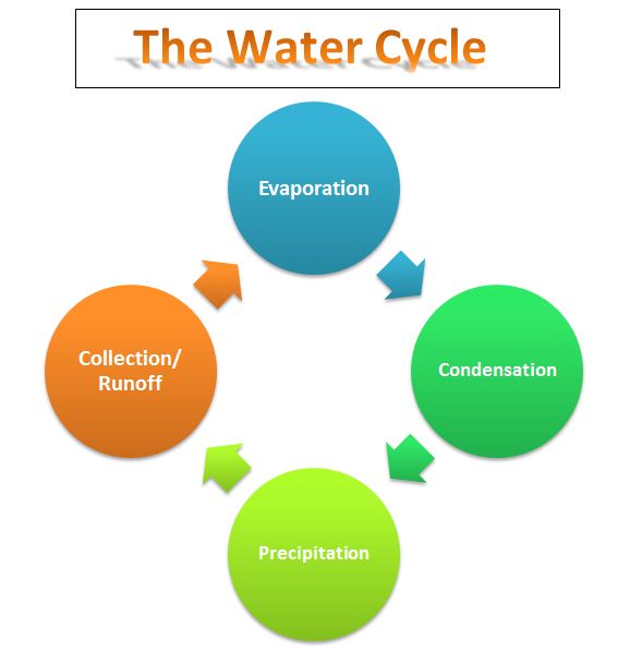Learning Ideas - Grades K-8: Bill Nye Video - The Water Cycle