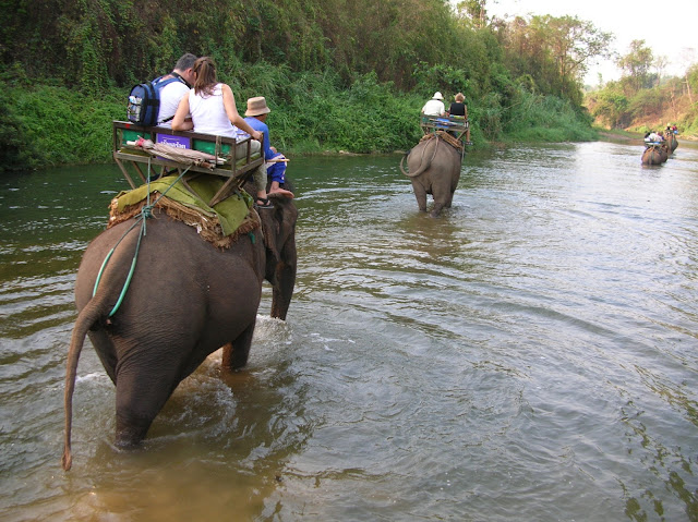 escursione in elefante thailandia chiang mai