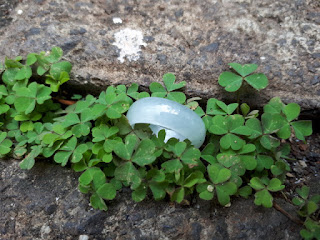 Batu Permata Cincin White Jade Type A Natural JDT016 Harga Terjangkau