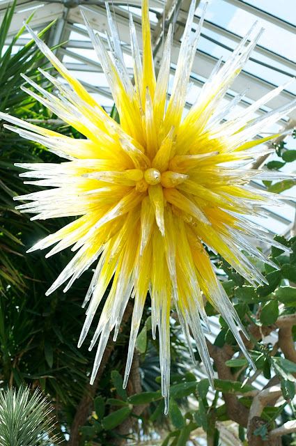 Chihuly at Phipps