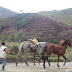 Arriando los caballos en Santa Rita de Ituango