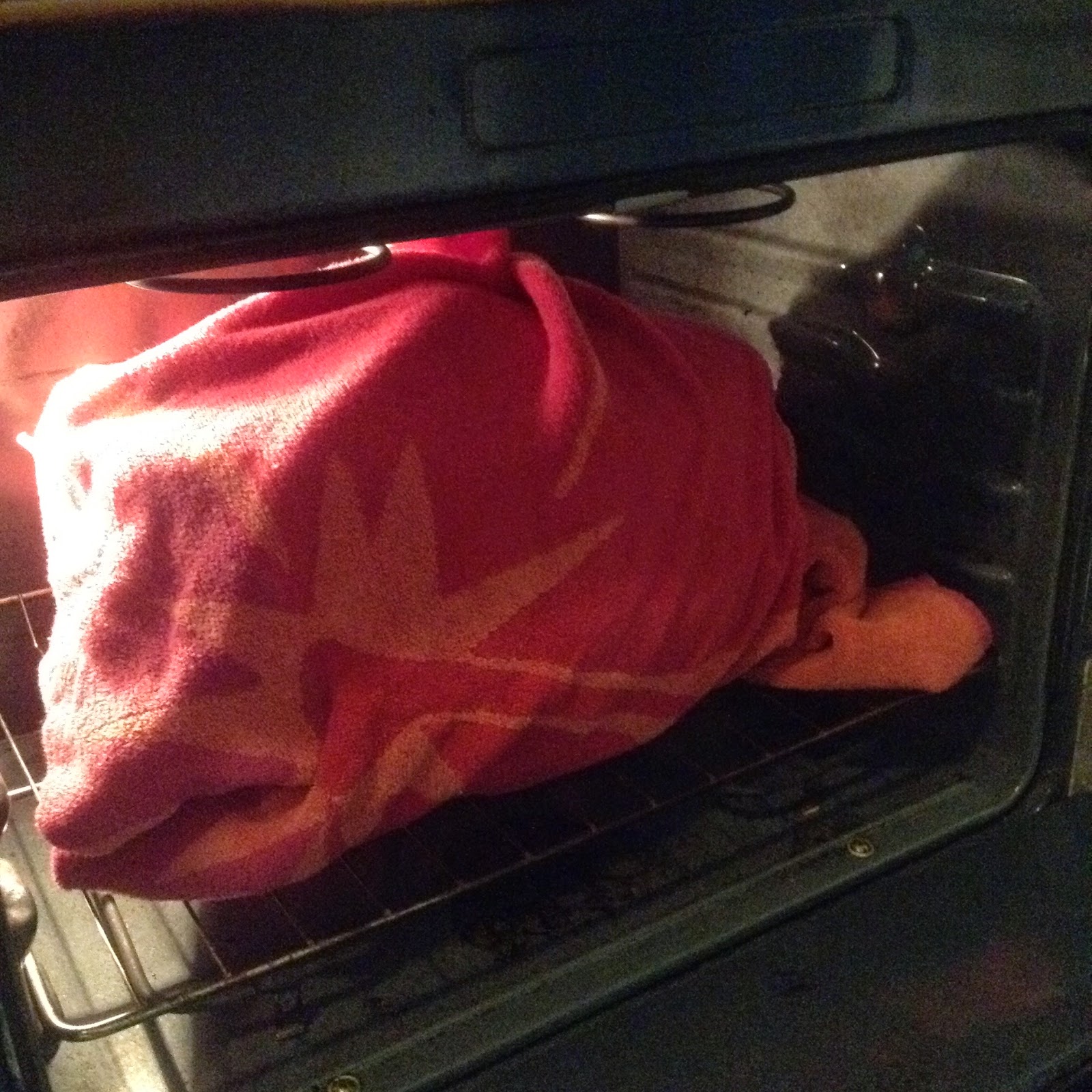 Looking up to the Sky The simple way of making yogurt at home