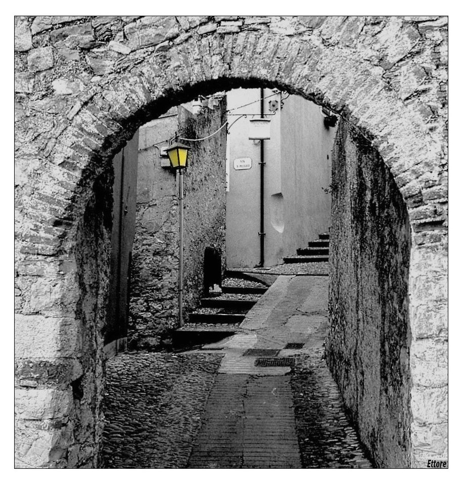 FuoriClasse Il sentiero dei nidi di ragno di Italo Calvino