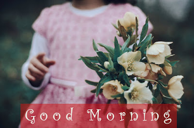 Good Morning Images Good Morning Images