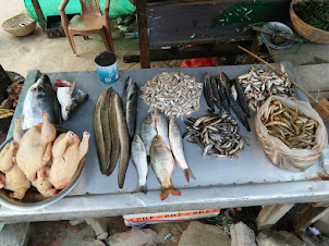 Fish shop in Hapoli Town of Ziro valley in Arunachal Pradesh